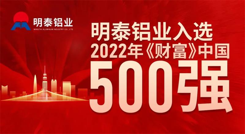 华亿网页版首次入选《财富》中国500强